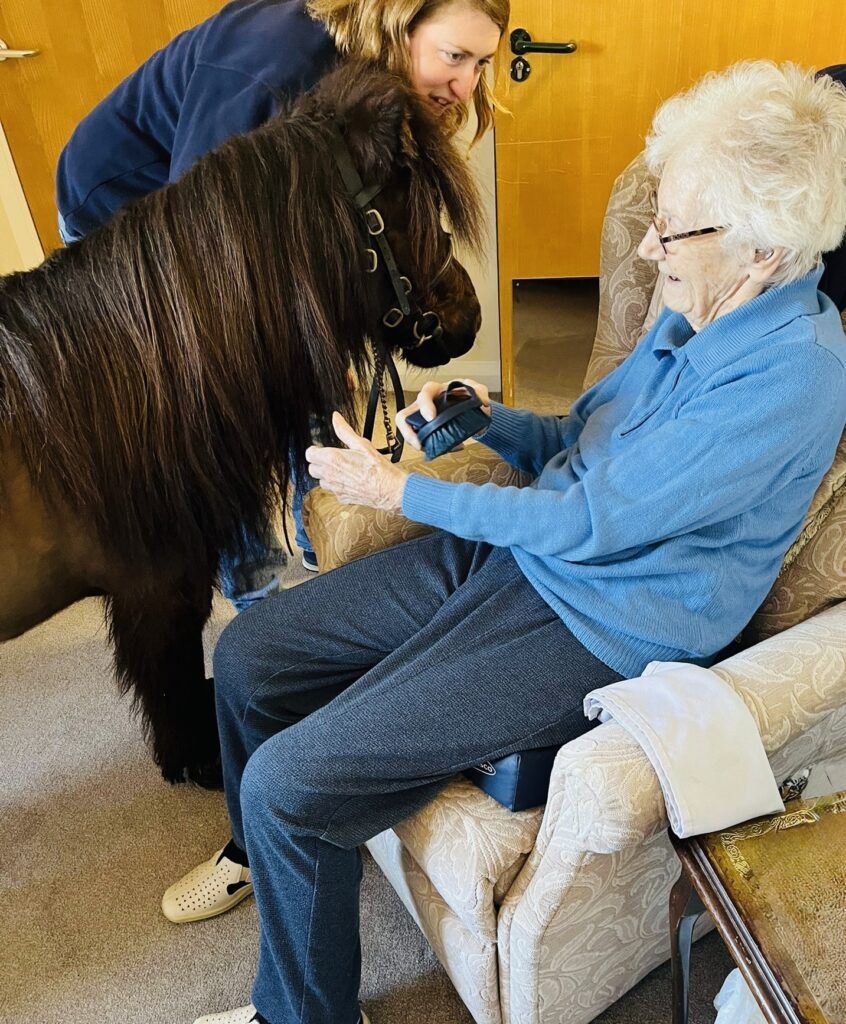 pony and elderly care resident
