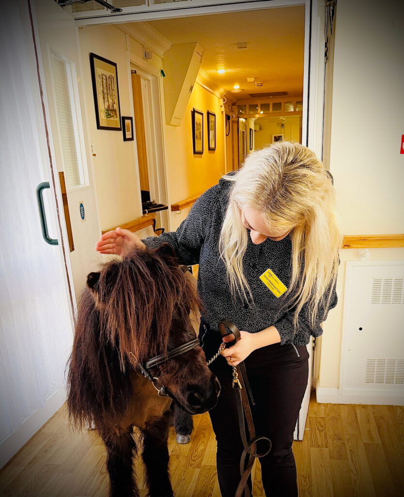 pony and upper mead staff