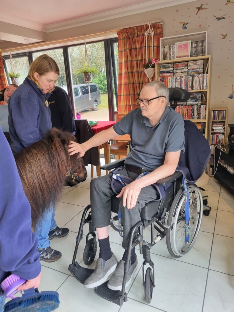 ullswater resident petting shetland pony